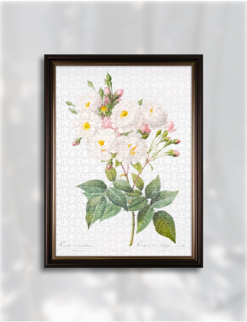 The Bibe of Roses (Pink) 500 Piece Jigsaw Puzzle