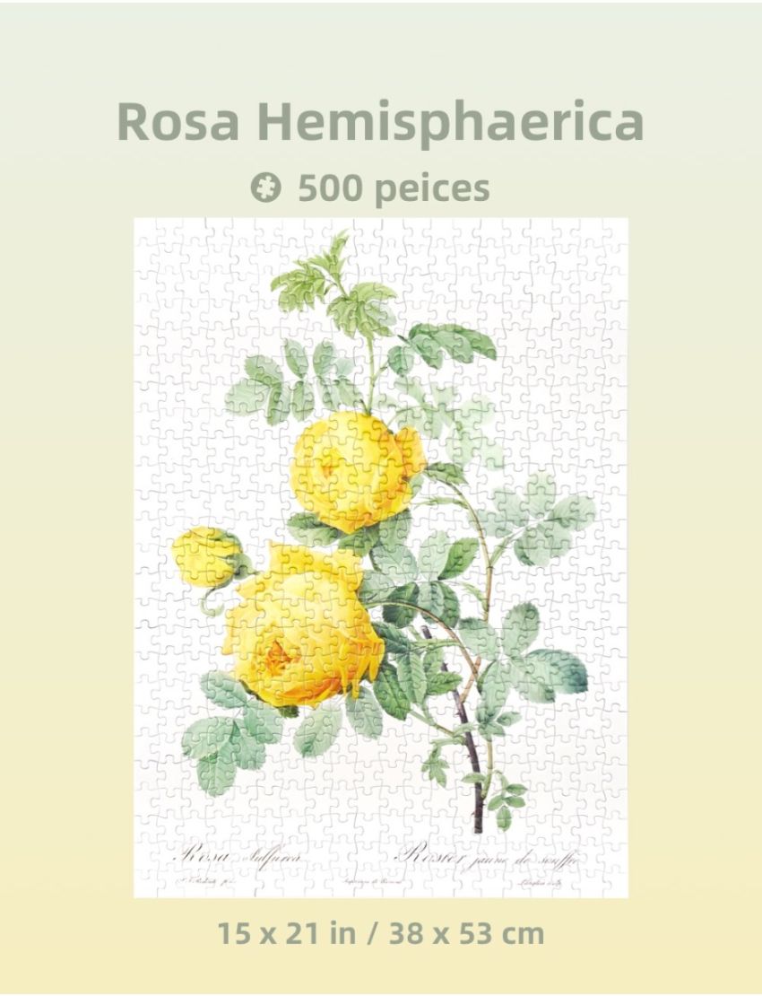 The Bible of Roses (Yellow) 500 Pieces Jigsaw Puzzle