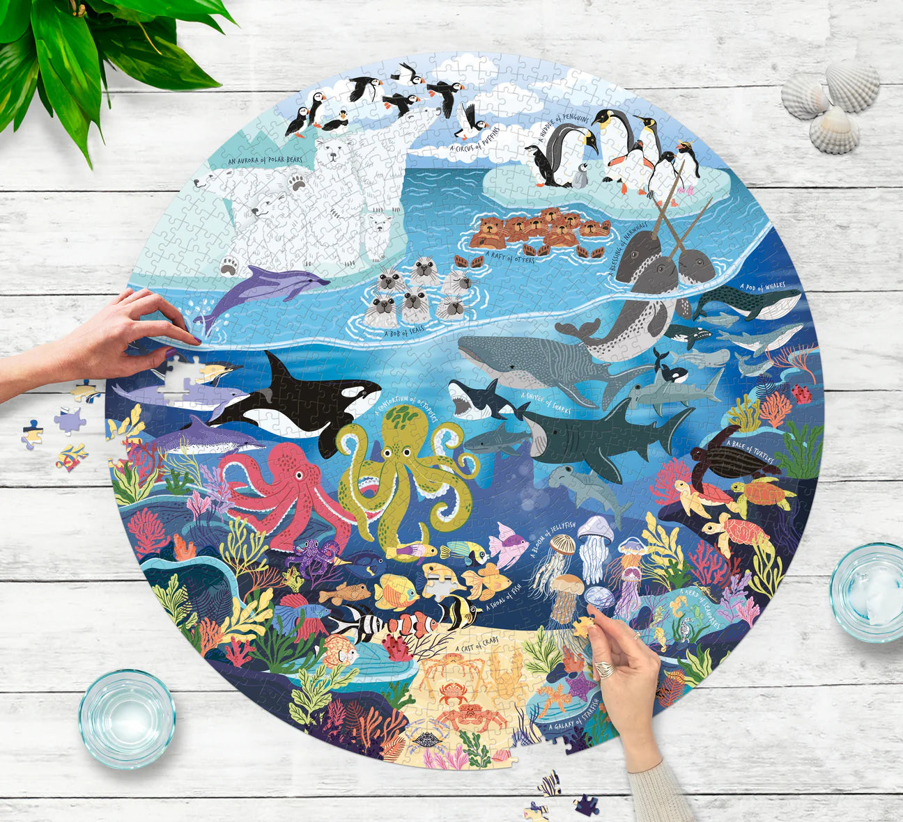 Ocean Lover's 1000 Piece Circular Jigsaw Puzzle