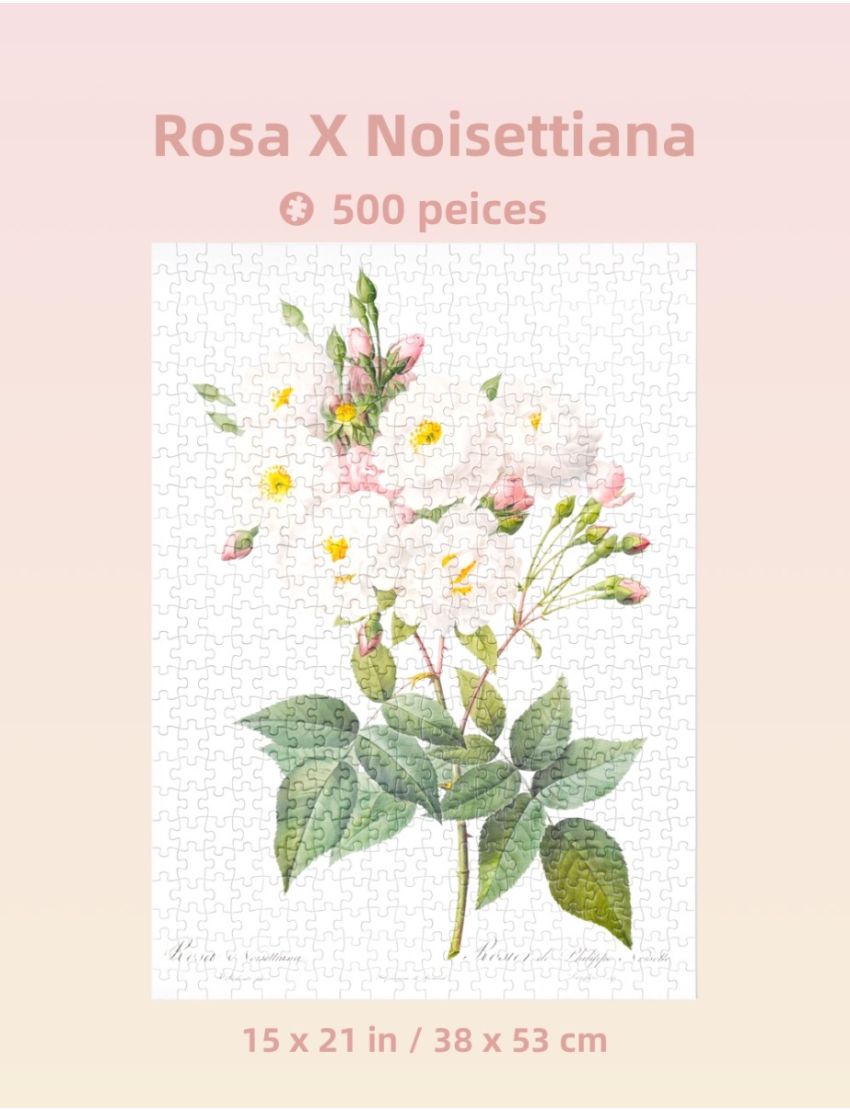 The Bibe of Roses (Pink) 500 Piece Jigsaw Puzzle