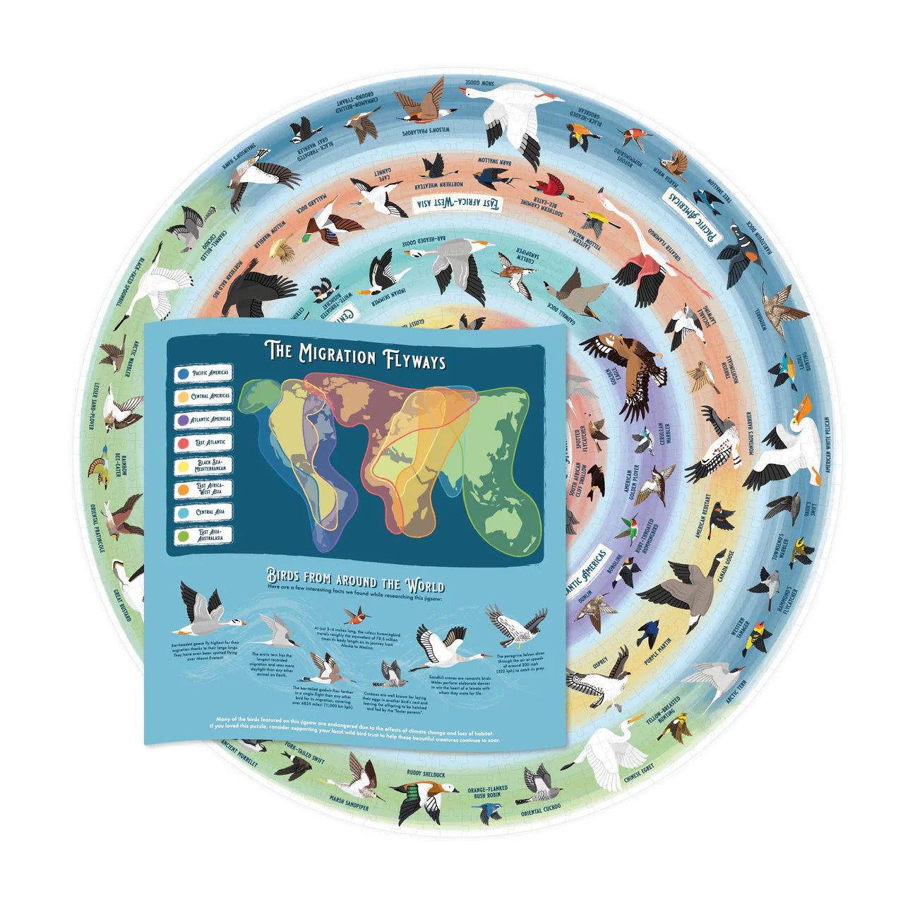 Bird Lover's 1000 Piece Jigsaw Puzzle