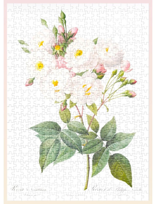 The Bibe of Roses (Pink) 500 Piece Jigsaw Puzzle