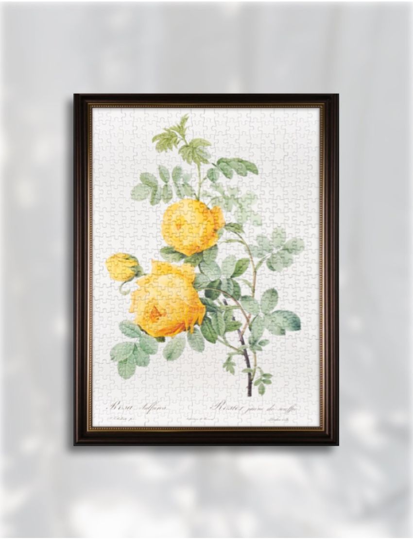 The Bible of Roses (Yellow) 500 Pieces Jigsaw Puzzle
