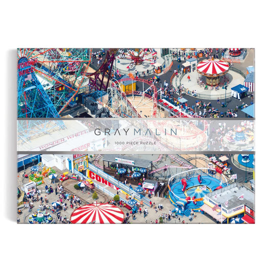Gray Malin 1000 Piece Puzzle Coney Island