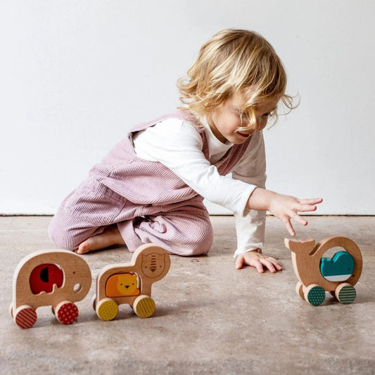 Elephant and Baby Wooden Push Along Car