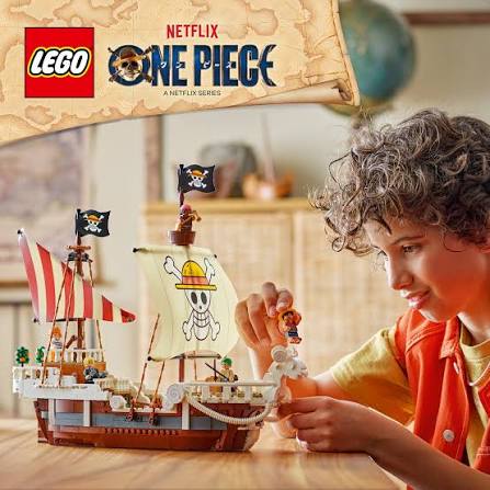 LEGO® One Piece