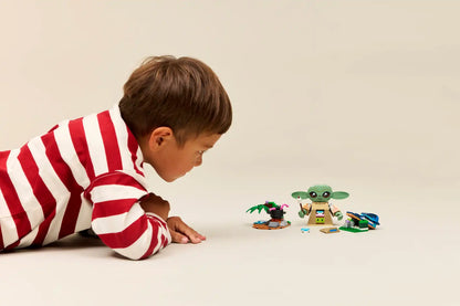 LEGO Star Wars™ Grogu's Homestead 75443