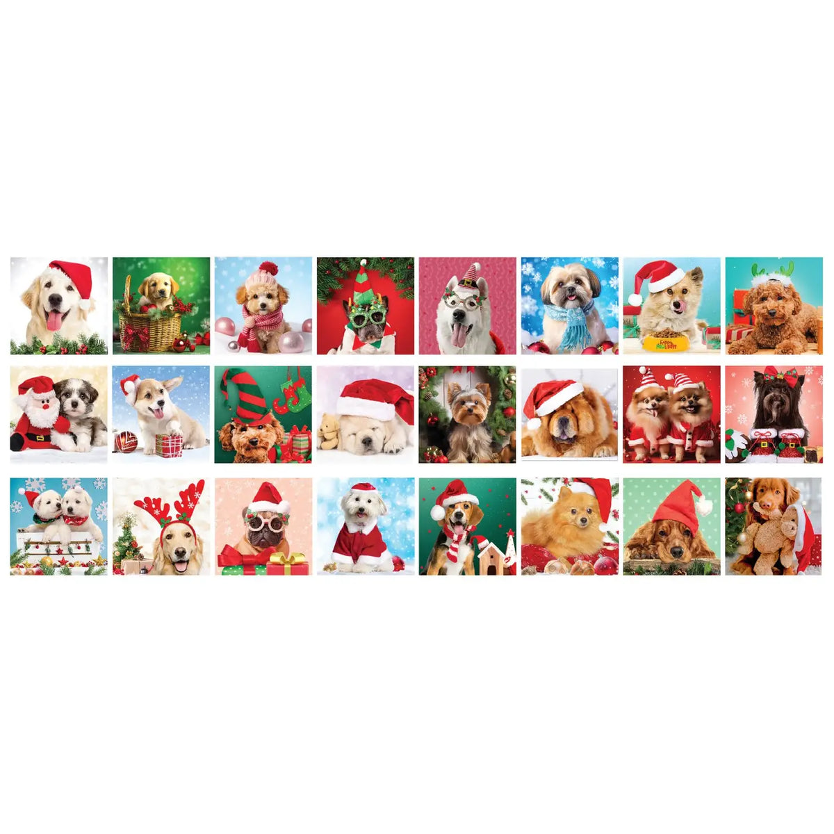 Christmas Paws Advent Calendar Eurographics