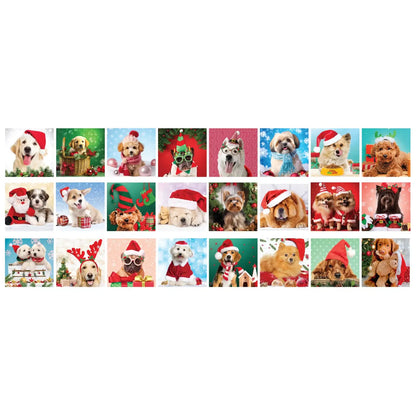 Christmas Paws Advent Calendar Eurographics