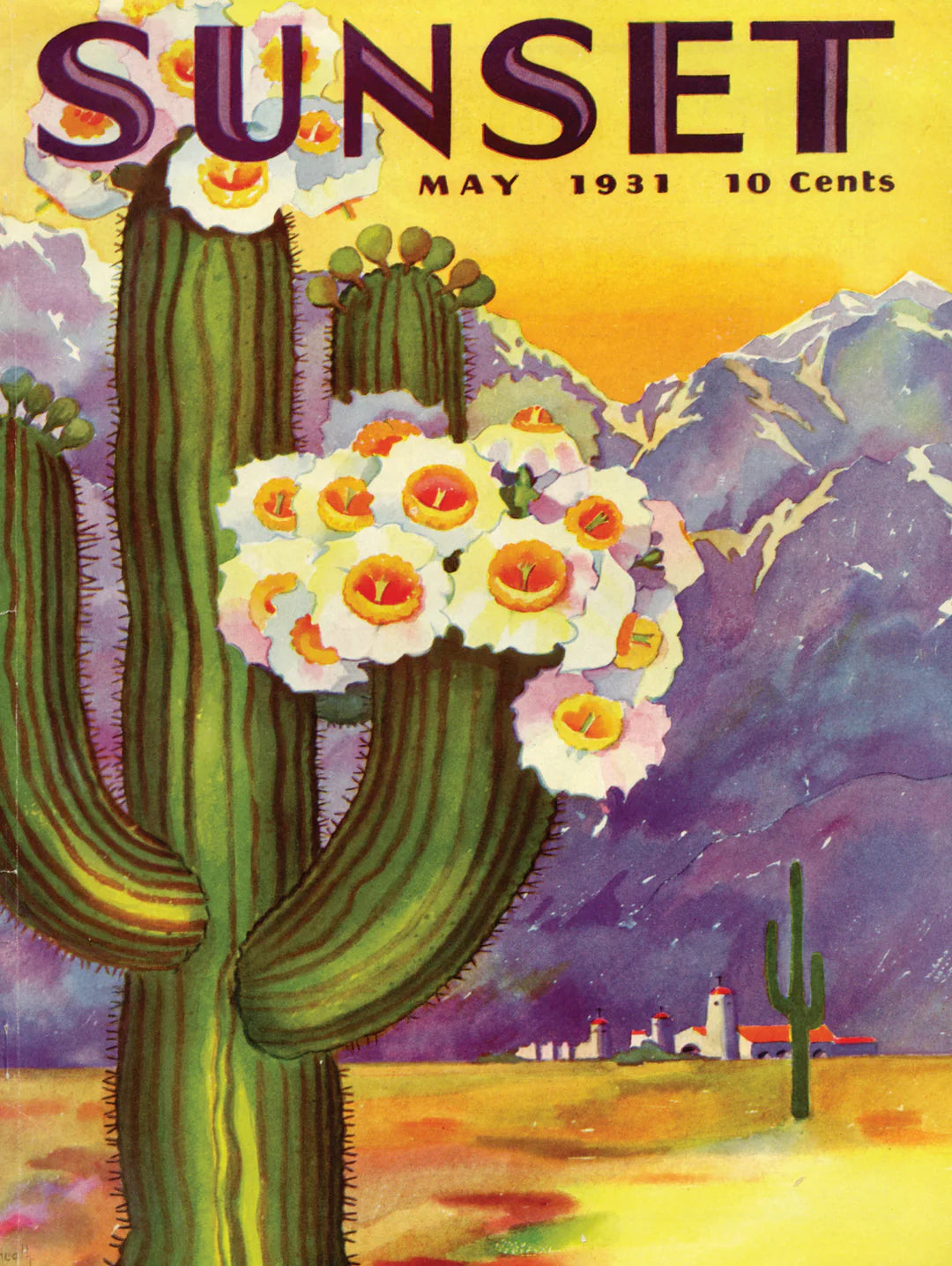 Cactus Blooms 500 Piece Jigsaw Puzzle