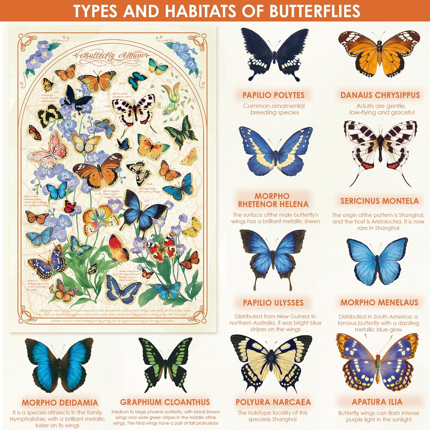 Momibook Butterfly Blooms 1000 Piece Jigsaw Puzzle