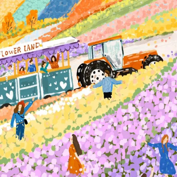 Momibook Furano Flower Fields 1000 Piece Jigsaw Puzzle