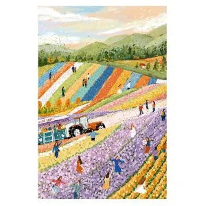 Momibook Furano Flower Fields 1000 Piece Jigsaw Puzzle