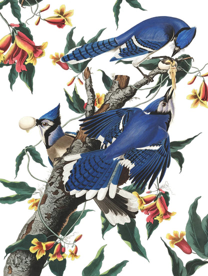 Blue Jays 500 Piece Jigsaw Puzzle