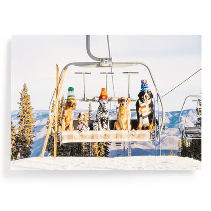 Gray Malin Aspen 1000 Piece Book Box Puzzle