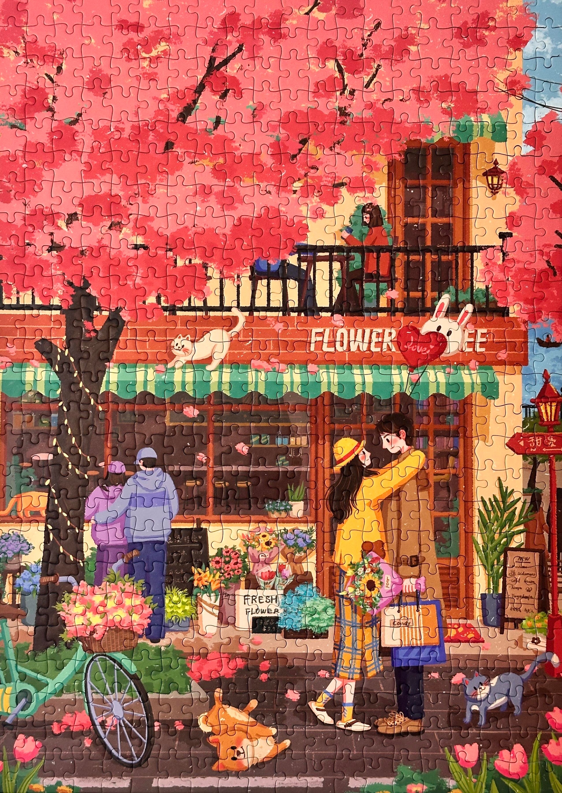 Kessing Encounter 500 Piece Jigsaw Puzzle Kessing