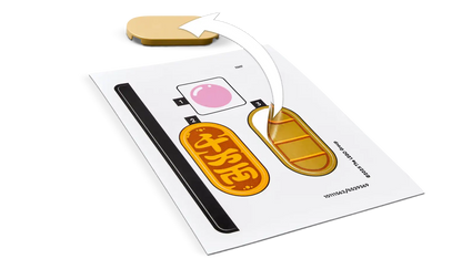 LEGO Lucky Cat 40813