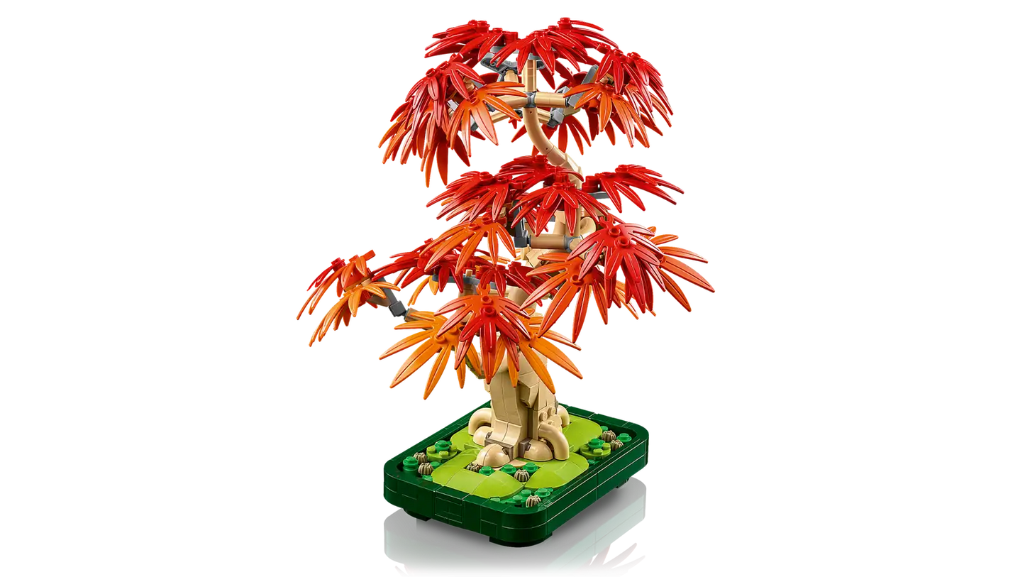 LEGO Botanicals Japanese Red Maple Bonsai Tree 10348