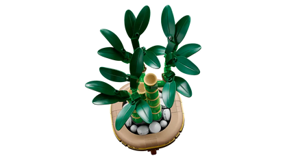 LEGO Botanicals Lucky Bamboo 10344