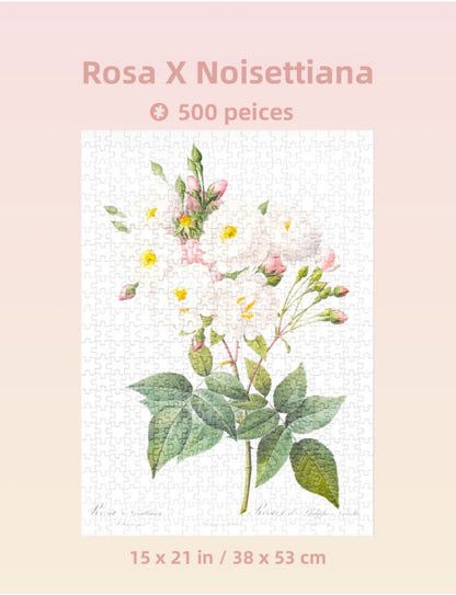The Bibe of Roses (Pink) 500 Piece Jigsaw Puzzle
