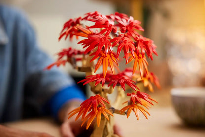 LEGO Botanicals Japanese Red Maple Bonsai Tree 10348