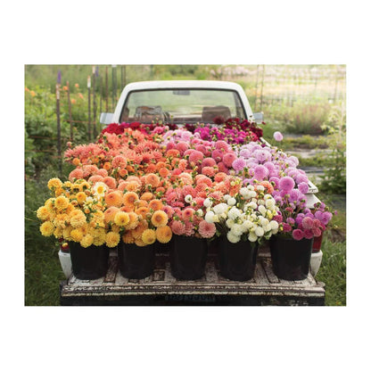 Floret Farm's Cut Flower Garden Double-Sided 500 Piece Jigsaw Puzzle