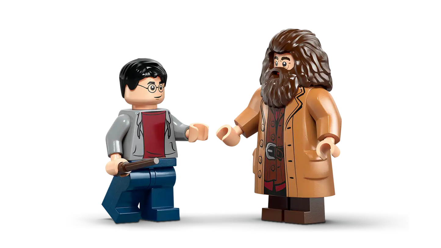 LEGO Harry Potter™ Hagrid™ & Harry's Privet Drive Escape 76459