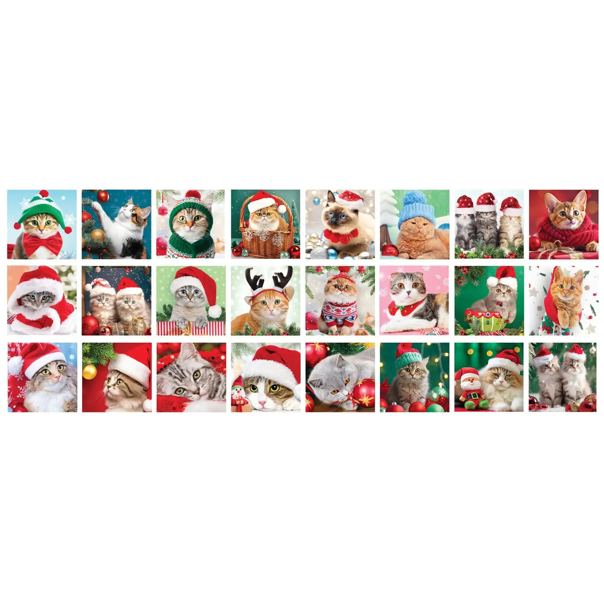 Christmas Whiskers Advent Calendar Eurographics
