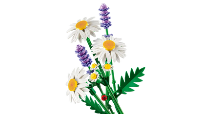 LEGO Botanical Daisies 11508