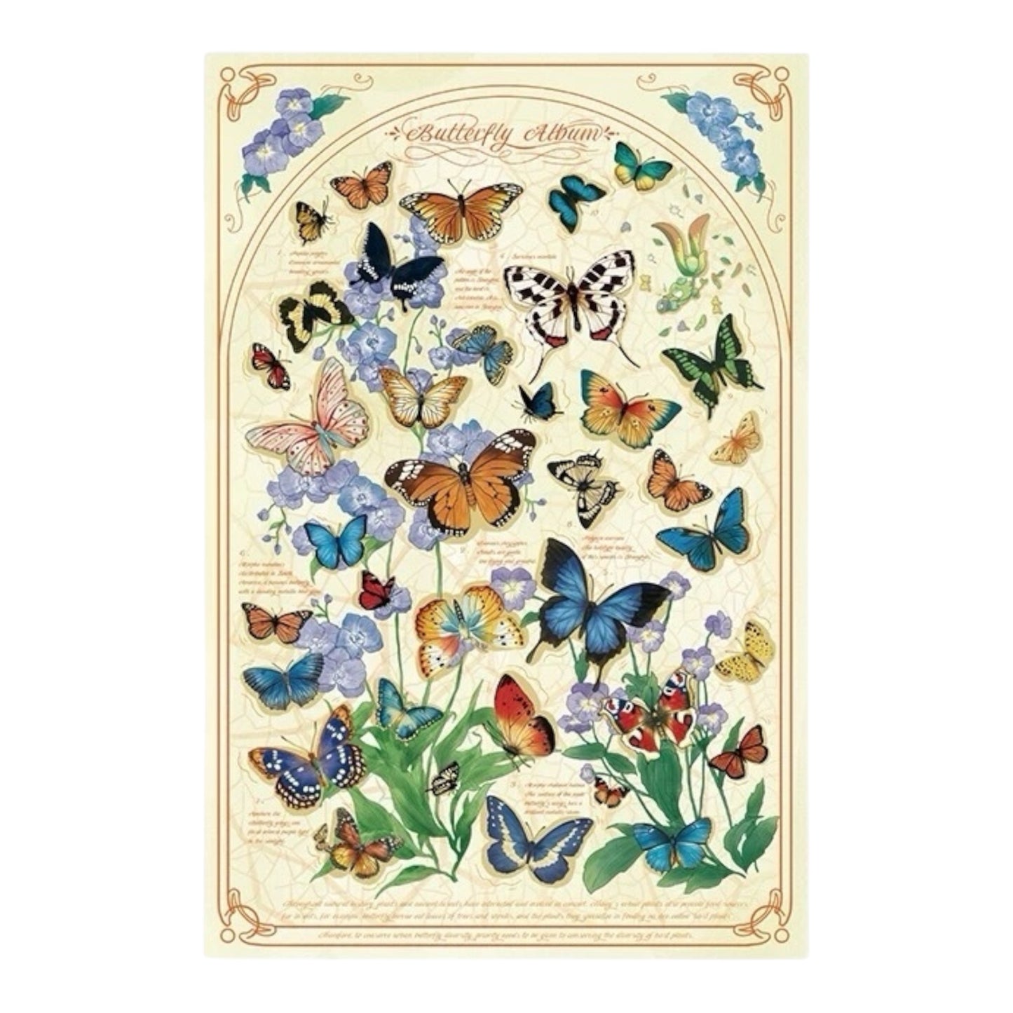 Momibook Butterfly Blooms 1000 Piece Jigsaw Puzzle