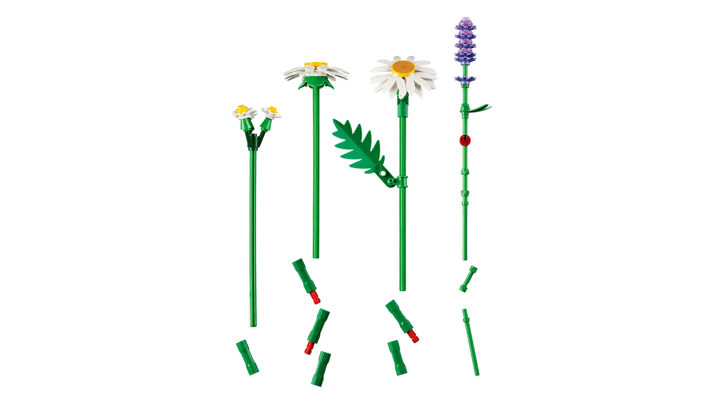 LEGO Botanical Daisies 11508