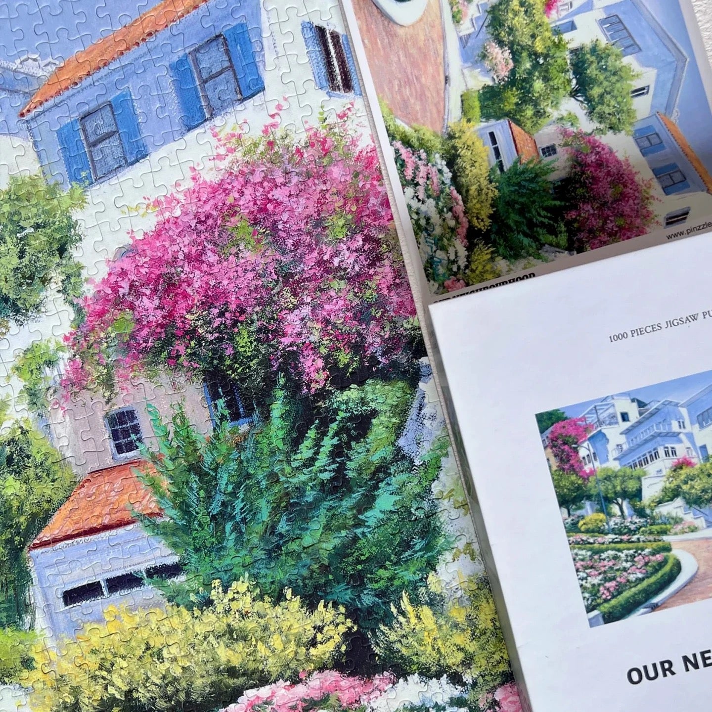 Our Neighbourhood 1000 Piece Jigsaw Puzzle