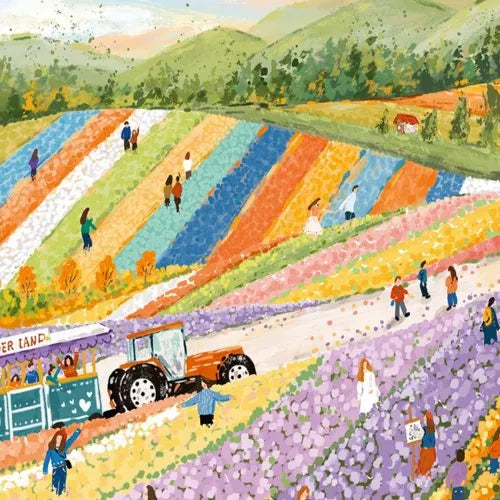 Momibook Furano Flower Fields 1000 Piece Jigsaw Puzzle