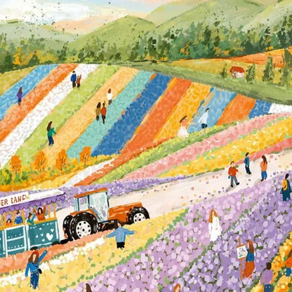 Momibook Furano Flower Fields 1000 Piece Jigsaw Puzzle