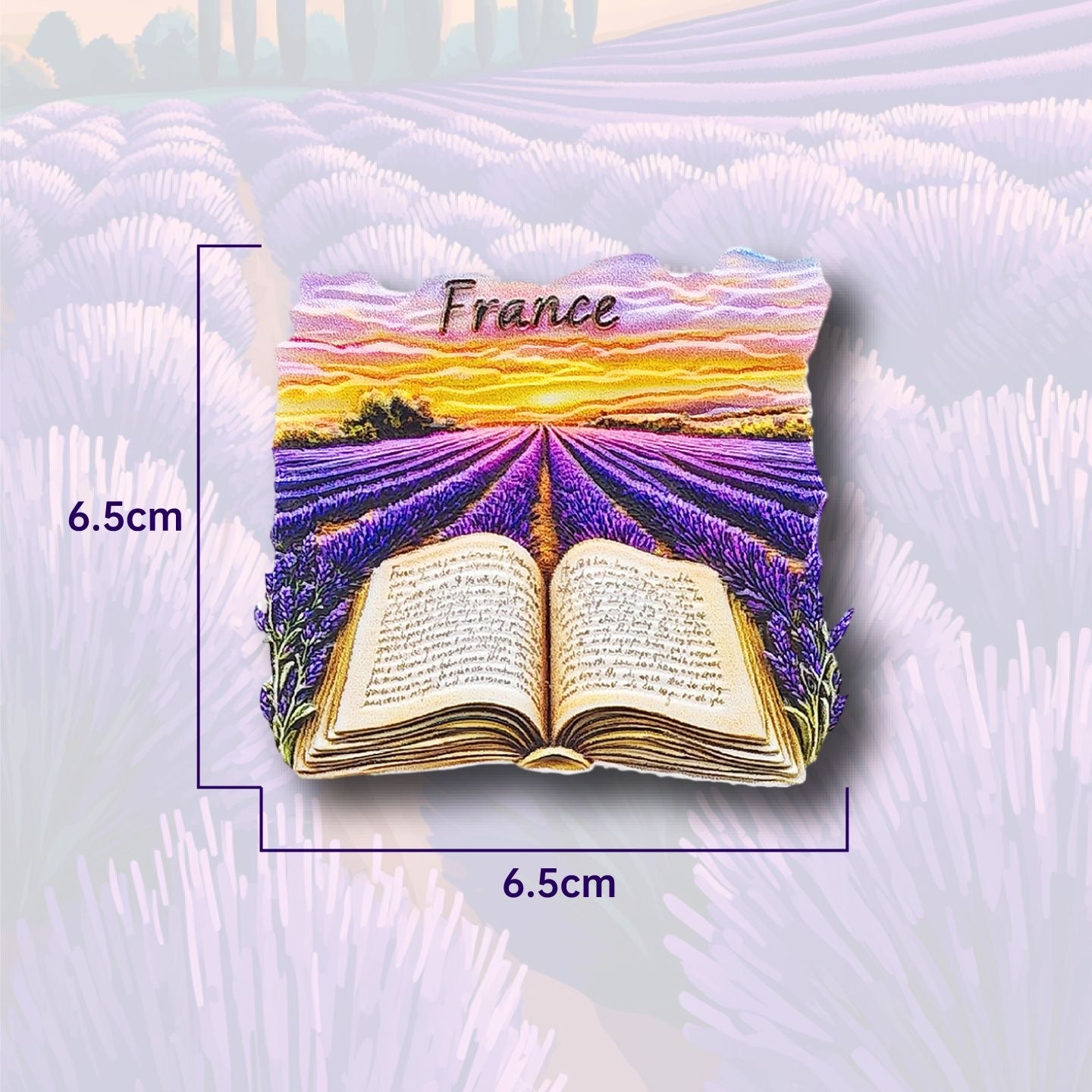 France Travel Souvenir Fridge Magnets