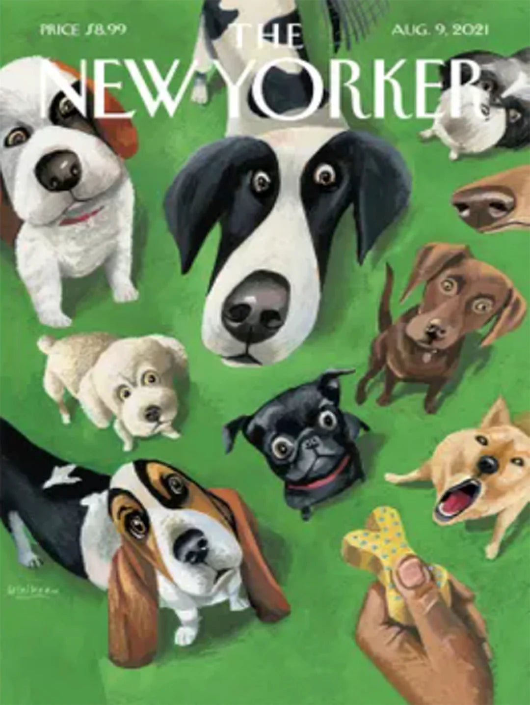 Summer Treat 500 Piece Jigsaw Puzzle New York Puzzle Company