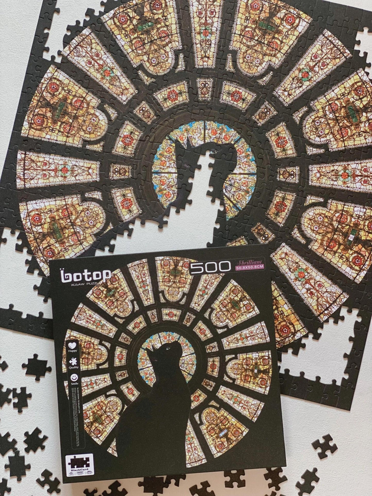 Botop Cathedral Cat 1000 Piece Jigsaw Puzzle Botop
