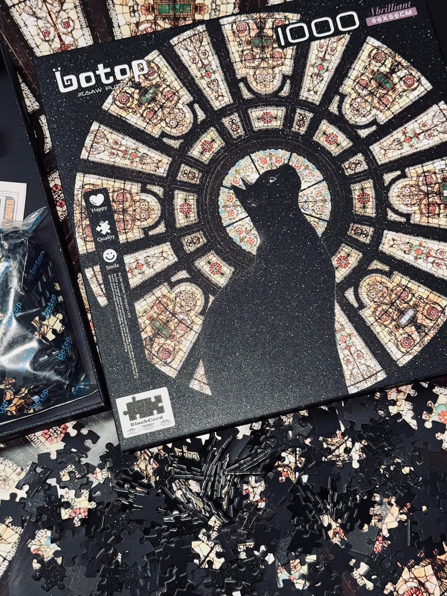 Botop Cathedral Cat 1000 Piece Jigsaw Puzzle Botop