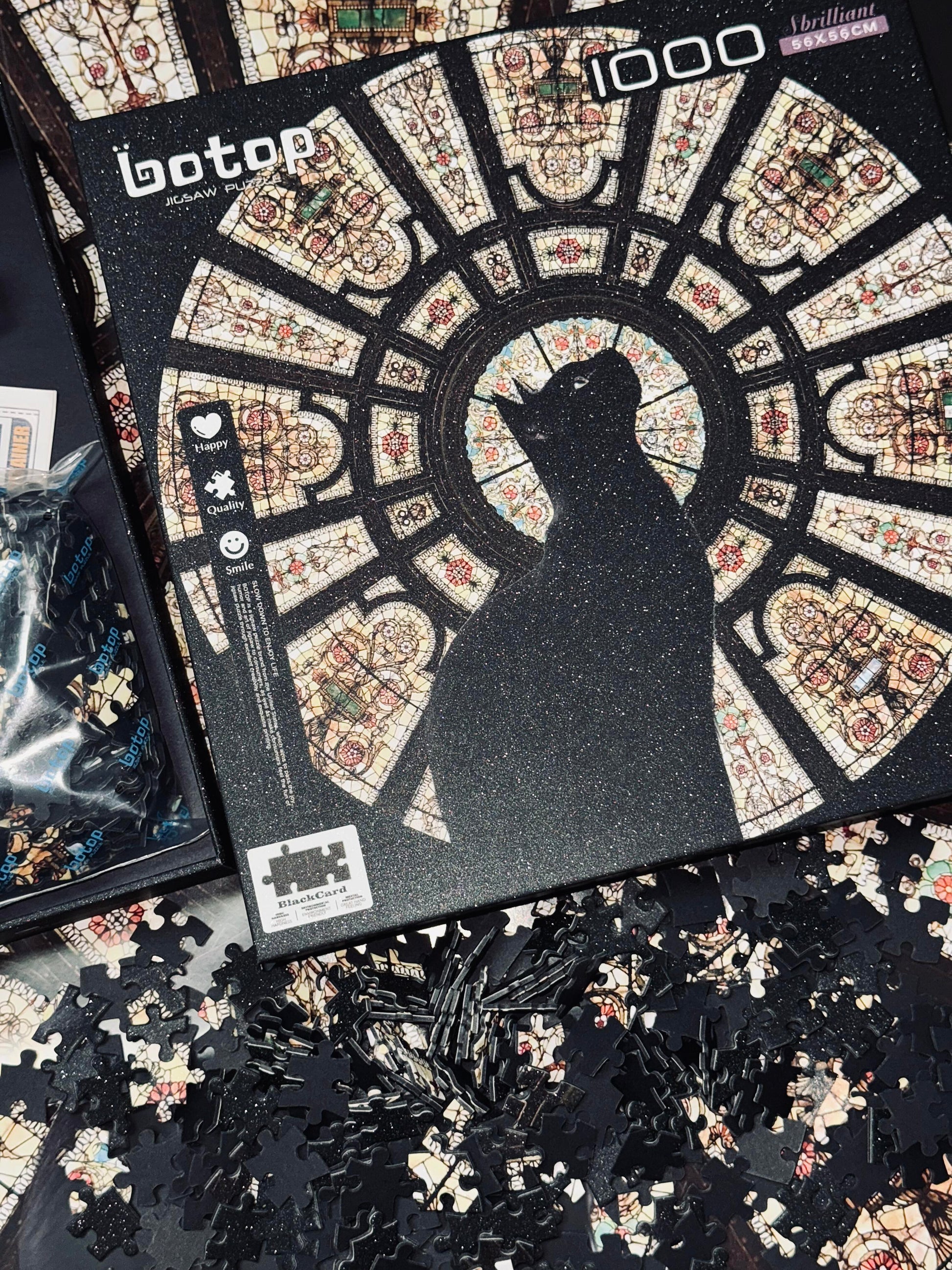 Botop Cathedral Cat 1000 Piece Jigsaw Puzzle Botop