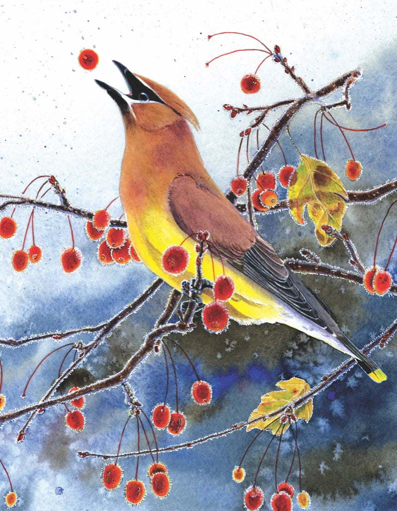 Cedar Waxwing Mini 100 Piece Mini Puzzle